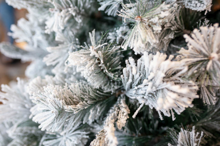 Brad artificial cu zapada Sugar Pine, 210 cm - BraziPremium.ro [4]