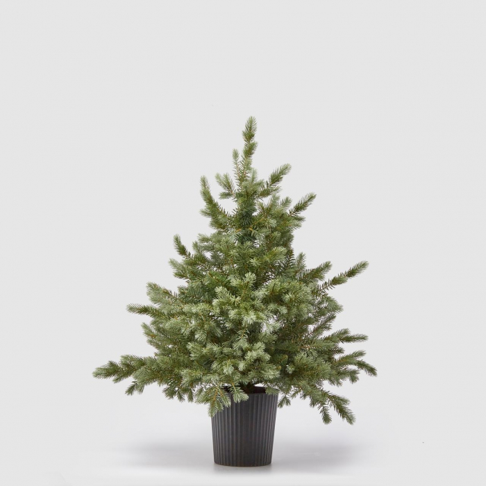 Brad artificial decorativ  Pino Argentato, ace 3D, 90 cm, verde  - BraziPremium.ro [3]