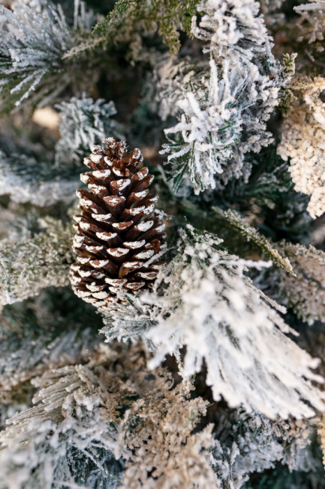 Brad artificial Kingston Flocked cu conuri si zapada, 240 cm - BraziPremium.ro [5]