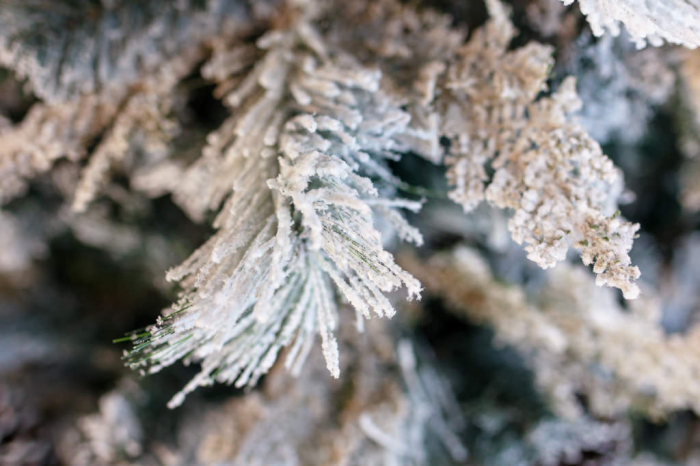 Brad artificial Kingston Flocked cu conuri si zapada, 270 cm - BraziPremium.ro [6]