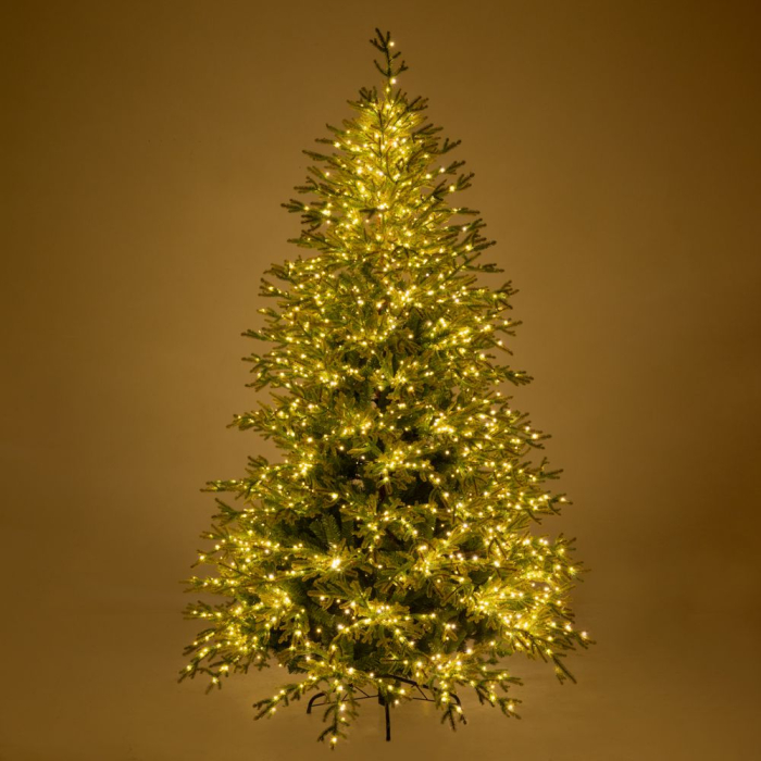 Brad artificial Premium Highlands cu lumini, 8 functii, 3600 LED, 270 cm, cablu cupru, verde [3]