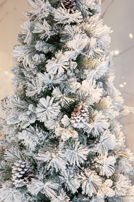 Brad artificial slim cu zapada si conuri Premium Frosted Pine, aspect inghetat, 210 cm - BraziPremium.ro [3]