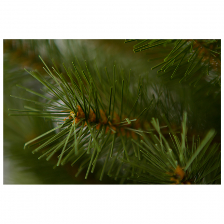 Brad artificial Caucazian Spruce, PVC, 180 cm, verde - BraziPremium.ro [2]