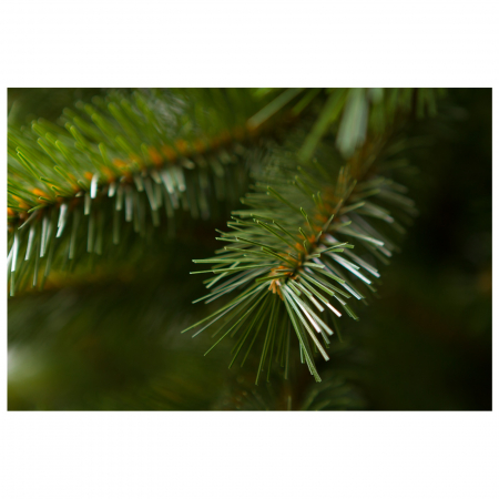 Brad artificial Caucazian Spruce, PVC, 150 cm, verde - BraziPremium.ro [6]