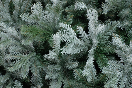 Brad artificial cu aspect inghetat Frosted Mulberry, PE, 183 cm - BraziPremium.ro [1]