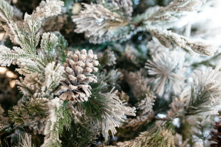 Brad artificial cu zapada si conuri Flocked Winter Fantasy, 270 cm - BraziPremium.ro [2]