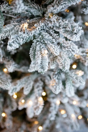 Brad artificial cu zapada si leduri Flocked Princess Pine, 200 led-uri, 210 cm - BraziPremium.ro [2]