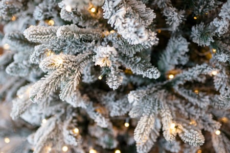 Brad artificial cu zapada si leduri Flocked Princess Pine, 200 led-uri, 210 cm - BraziPremium.ro [4]