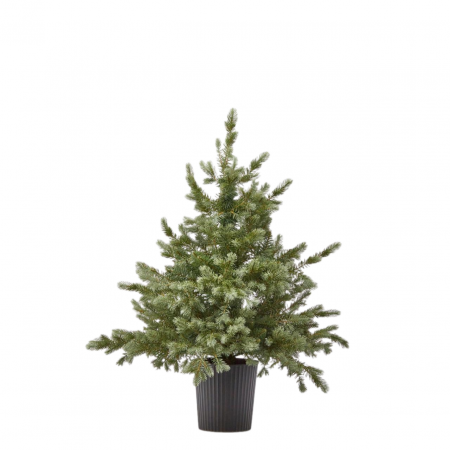 Brazi artificiali verzi - Brad artificial decorativ  Pino Argentato, ace 3D, 90 cm, verde  - BraziPremium.ro