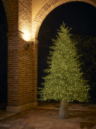 Brad artificial Licurici cu 5000 MINILED URI si telecomanda, 270 cm,  IP44, verde [4]