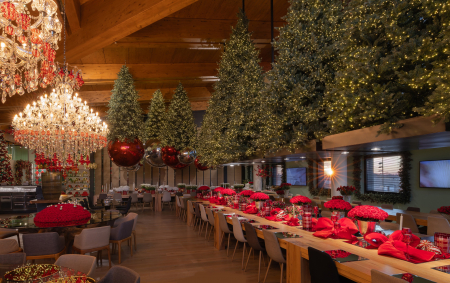 Brad artificial Pino Argentato de Lux cu telecomanda si 6500 Mini Led, PE, 270 cm, verde - BraziPremium.ro [3]