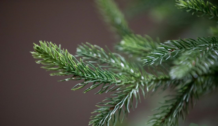 Brad artificial Pino Luxury, 300 cm, verde -BraziPremium.ro [6]