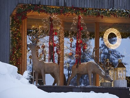 Copac Faggio Ciuff decorativ Craciun cu 1500 leduri, 150 cm   - BraziPremium.ro [2]