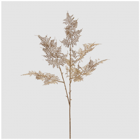 Decoratiune brad ramura Asparagus, 80 cm, auriu - BraziPremium.ro [1]