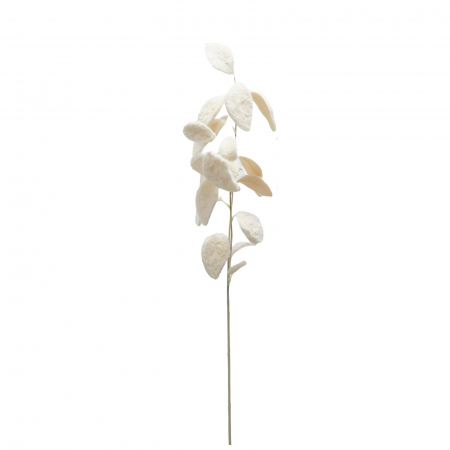 Flori pentru brad - Decoratiune brad ramura Eucalipt cu blanita, 78 cm, bej - BraziPremium.ro