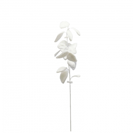 Flori pentru brad - Decoratiune brad ramura Eucalipt cu blanita, 78 cm, alb - BraziPremium.ro