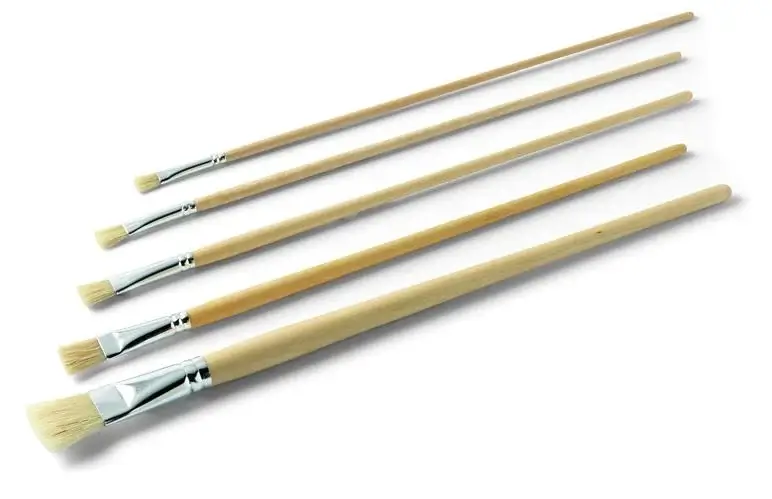 Set 5 Pensule Profesionale GUSSOW XL [1]