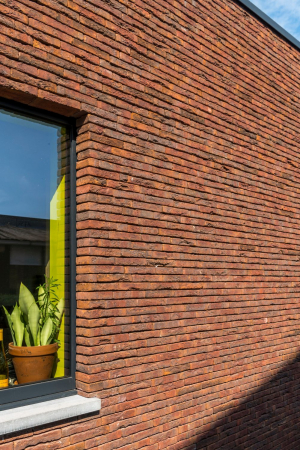 Placaj Caramida Aparenta Classo Blauw-Rood Genuanceerd 215 x 65 x 23mm [1]