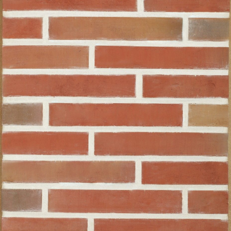Placaj Caramidă Aparentă - Placaj Caramida Aparenta Linneaus Robinia 288 x 48 x 23mm