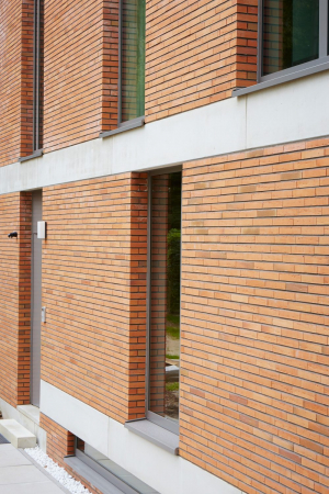 Placaj Caramida Aparenta Linneaus Betula 288 x 48 x 23mm [2]