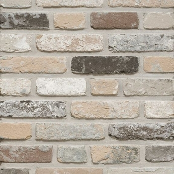 Placaj Caramidă Aparentă - Placaj Caramida Aparenta Rustica Oud Leerne 210 x 65 x 23mm