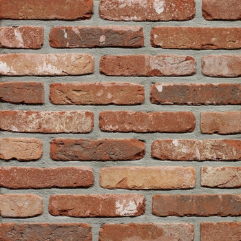 Placaj Caramidă Aparentă - Placaj Caramida Aparenta Rustica Oud Kempisch 215 x 65 x 23mm