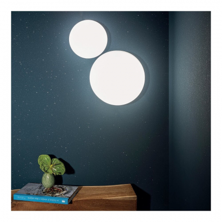Vopsea La Via Lattea 2.5L [6]