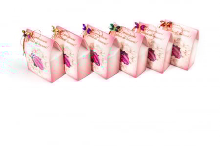 La cutie - SET 10 MARTISOARE CU BROSA LIBELULA