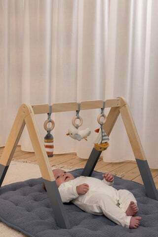 Centru de Activități Baby Gym 0+ Luni [2]