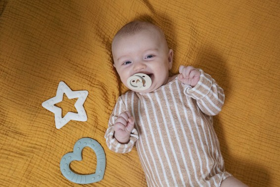 BIBS - Jucarie de dentitie in forma de inima, Blush [3]