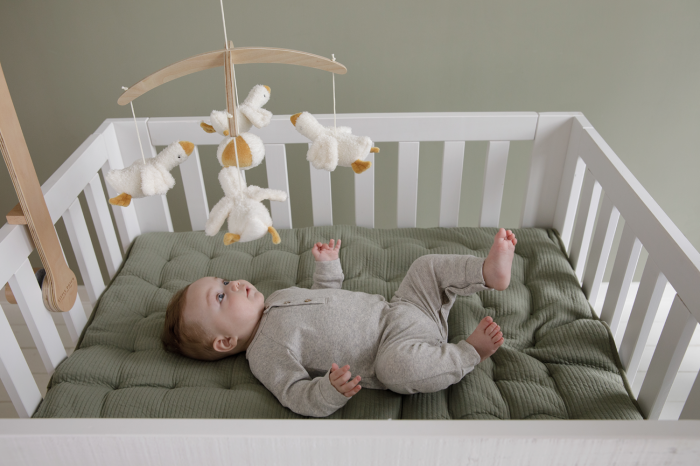 Carusel muzical cu brat din lemn – Little Goose [2]