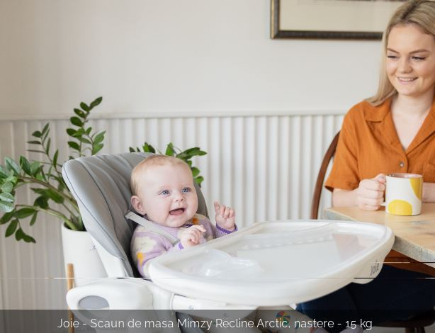 Mimzy Recline Arctic [4]