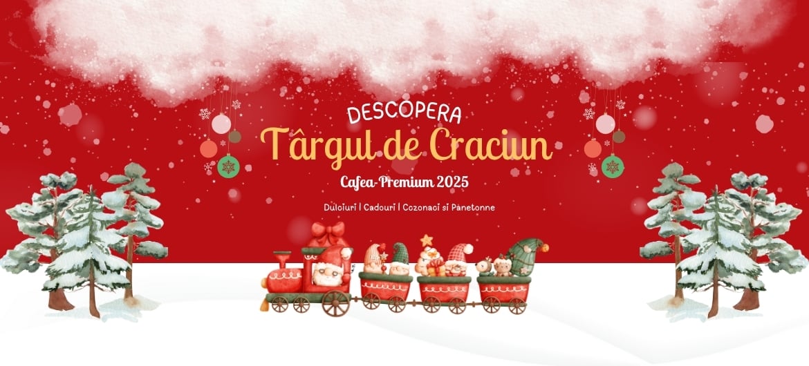 Targul de Craciun 2025