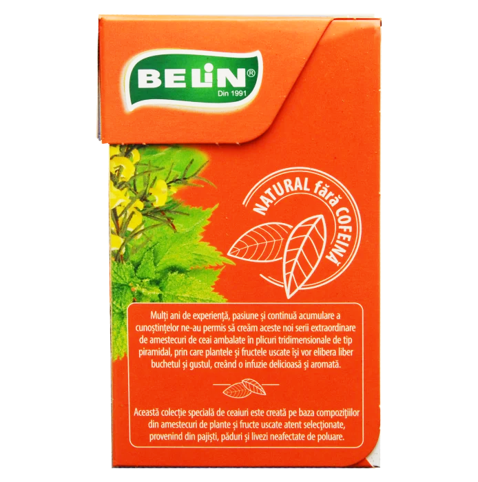 BELIN Piramide Ceai de Plante cu Ginseng - Ceai de Fructe si Plante Aromatizat - 20 Plicuri x 2g [3]