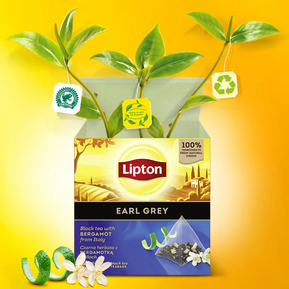 LIPTON CHAI Ceai Negru Earl Grey cu Bergamota Piramide 20 plicuri [4]
