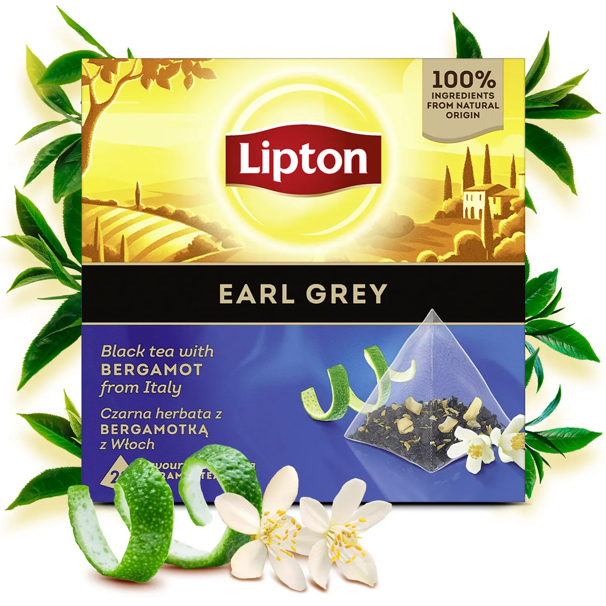 LIPTON CHAI Ceai Negru Earl Grey cu Bergamota Piramide 20 plicuri [2]