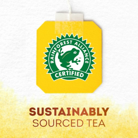 LIPTON Forest Fruit Ceai Negru cu Capsuni Piramide 20x2.1g [3]