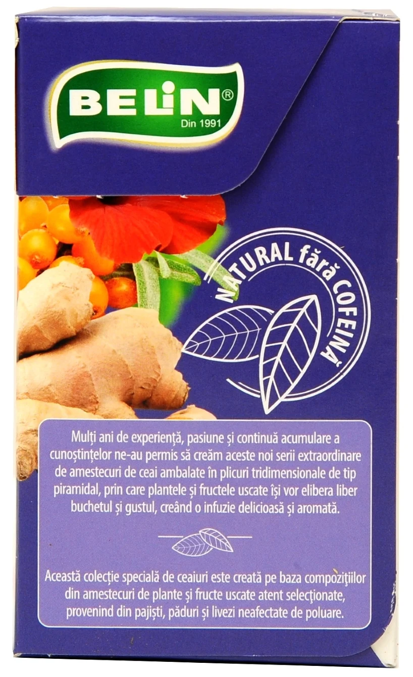 BELIN Piramide Ceai de Ghimbir si Catina - Ceai de Fructe si Plante Aromatizat - 20 Plicuri x 2g [2]