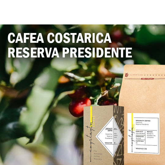 Cafea boabe de specialitate Constantin Costa Rica Reserva Presidente, 250g [2]
