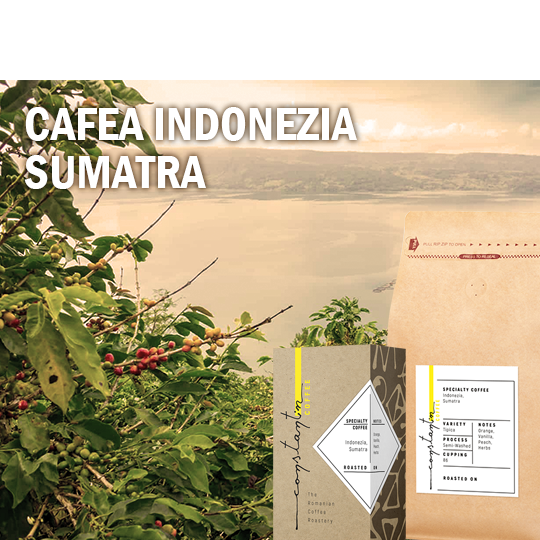 Cafea boabe de specialitate Constantin Indonezia Sumatra, 1kg [2]