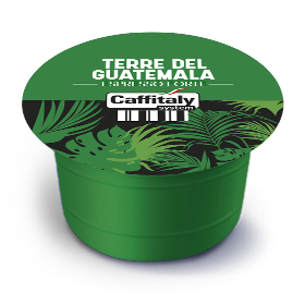 Capsule Cafea Caffitaly Ecaffe Terre del Guatemala, 10 buc [2]