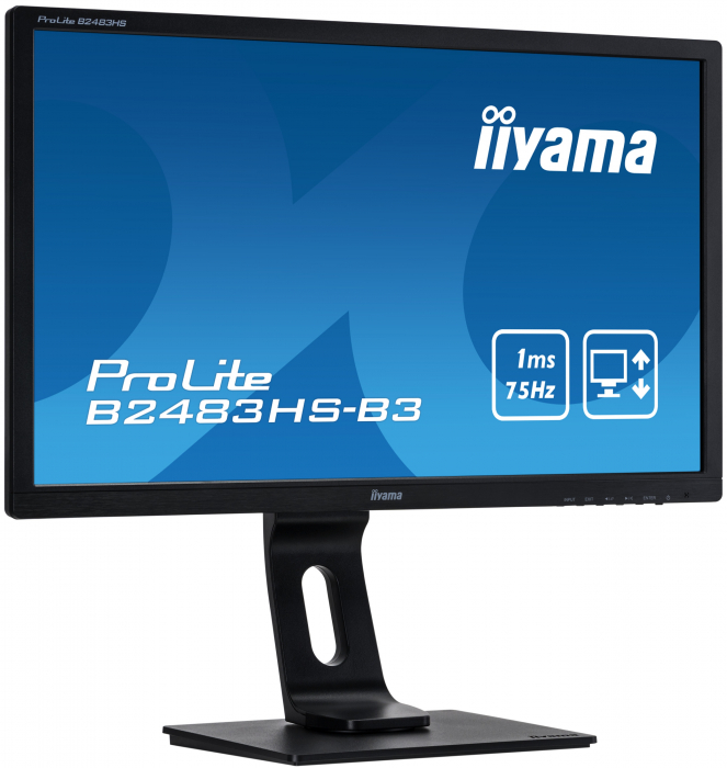 Monitor LED Iiyama ProLite 24", Full HD, HDMI, DVI, Boxe, Negru, B2483HS-B1 [4]
