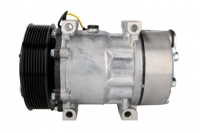 Compresor aer conditionat potrivit Renault Truck MAGNUM 10.04- [1]