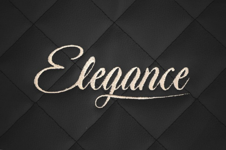 Huse scaun camion Elegance (negru, material eco-piele, serie ELEGANCE, tetiera integrata pentru pasageri; tetiera soferului integrata) potrivit SCANIA R [3]
