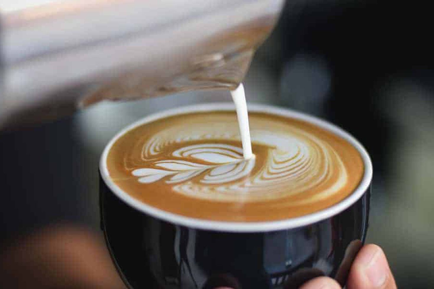Latte art: ce este și care sunt tehnicile de realizare