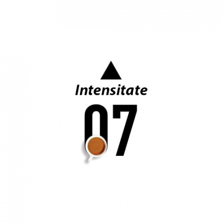 Cafea Deca Intenso, 10 capsule compatibile Bialetti®*, La Capsuleria - Capsuleria.ro [2]