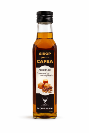 Produse Gourmet - Sirop pentru Cafea, Caramel si Scortisoara, La Capsuleria, 250 ml