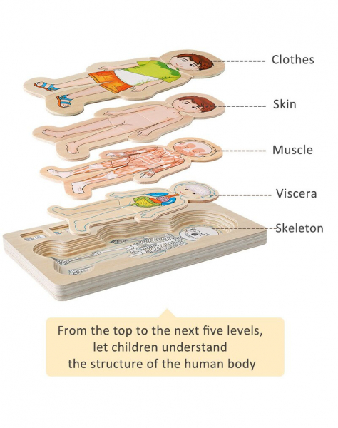 Jucarie educativa puzzle multistrat-partile corpului uman -baiat . [3]