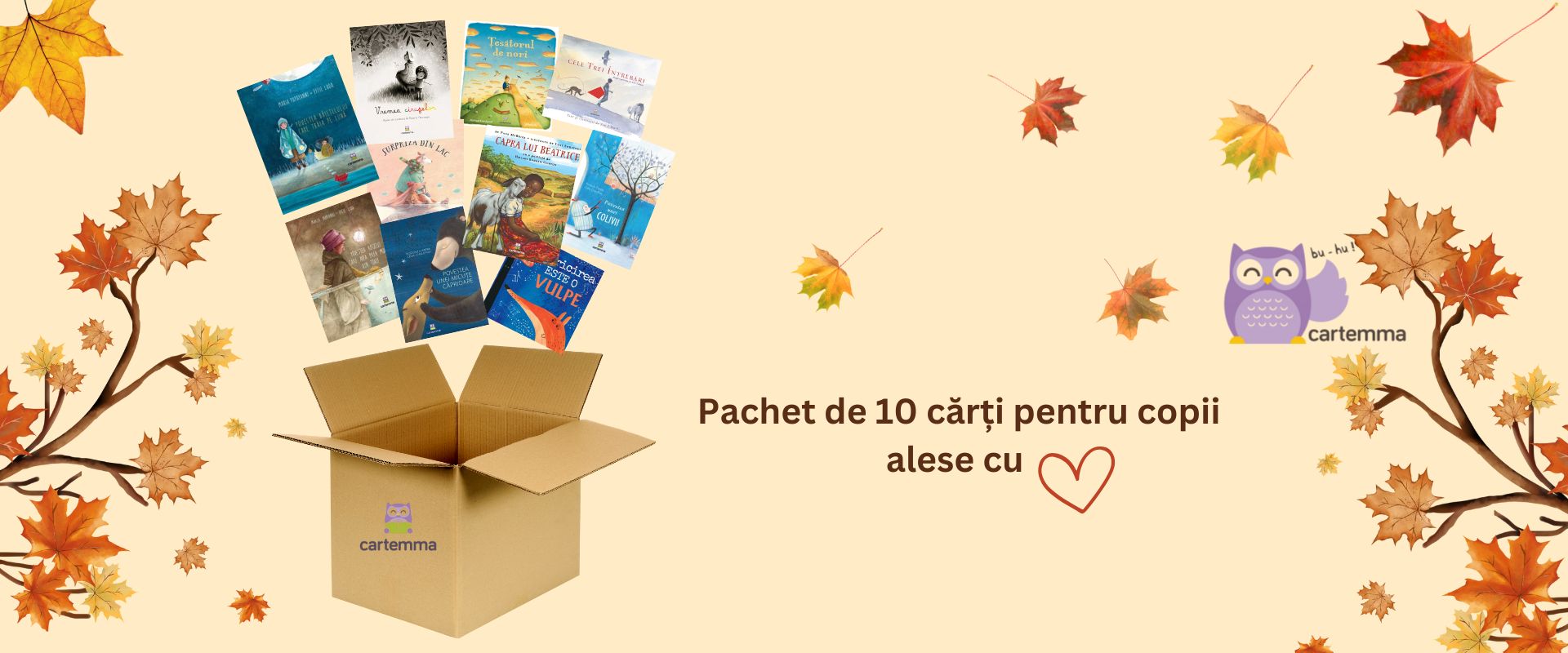 Pachet de 10 carti alese cu ❤️