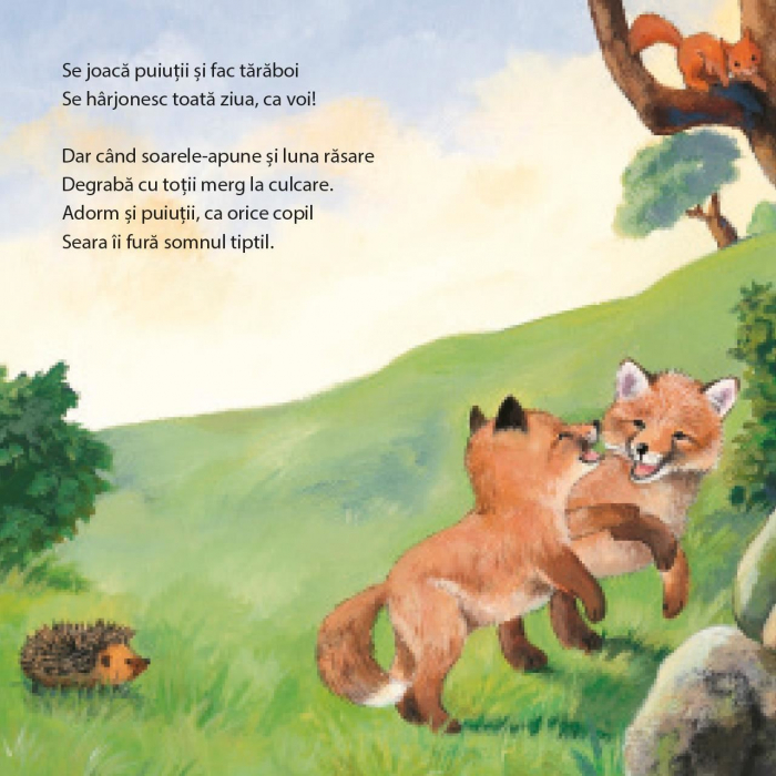 Când animăluțele sunt obosite [2]